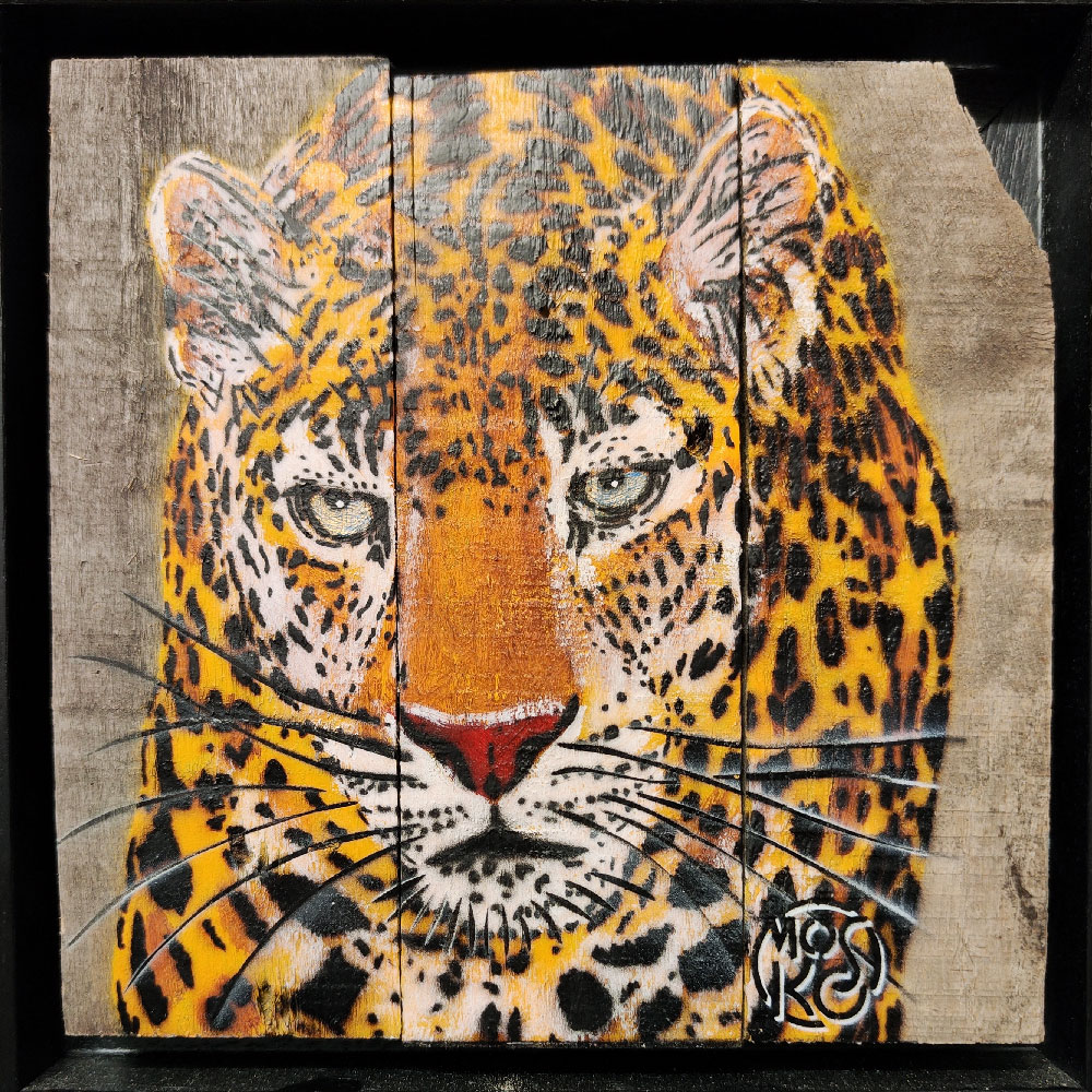 L�opard aux yeux dor�s, 2023